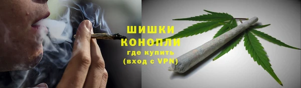 гидропоника Алзамай
