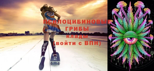 гидропоника Алзамай