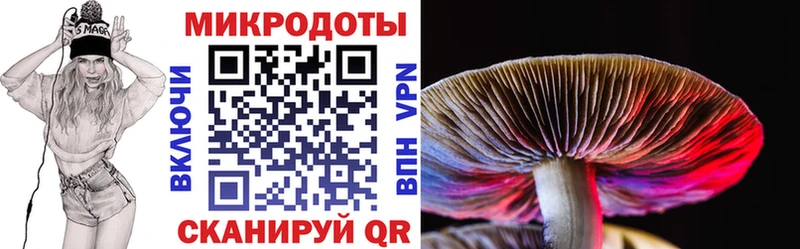 Галлюциногенные грибы Psilocybe  Купить  Калтан 